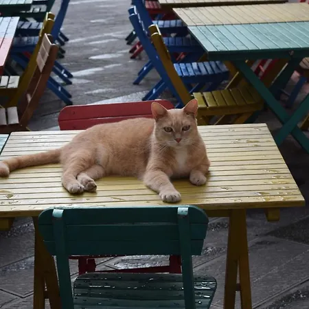 Gasthuis Cb House Pietrasanta